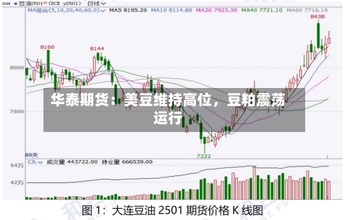 华泰期货：美豆维持高位，豆粕震荡运行-第2张图片