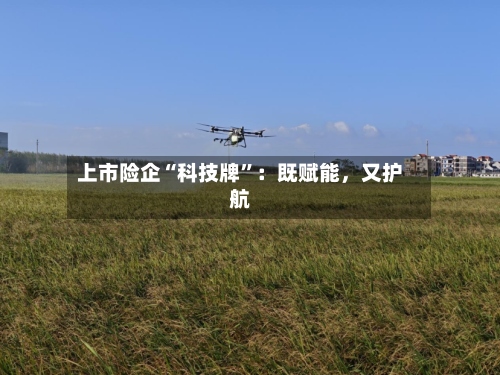 上市险企“科技牌”：既赋能，又护航
