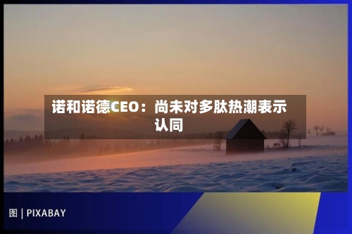 诺和诺德CEO:尚未对多肽热潮表示认同-第2张图片